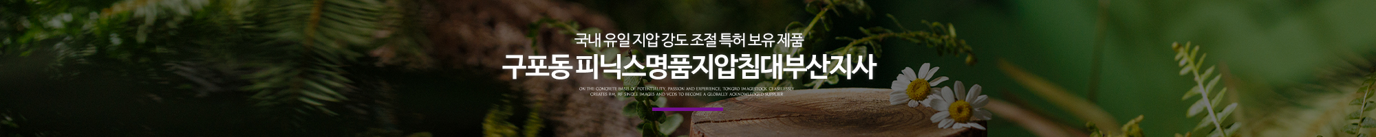 피닉스명품지압침대부산지사_이미지pc