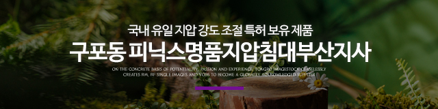 피닉스명품지압침대부산지사_이미지m